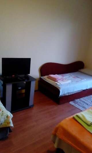 Апартаменты Apartment and Studio Ćinćur Бар Номер-студио с видом на море-19