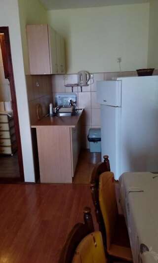 Апартаменты Apartment and Studio Ćinćur Бар Номер-студио с видом на море-30